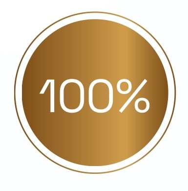 one hundred percent icon