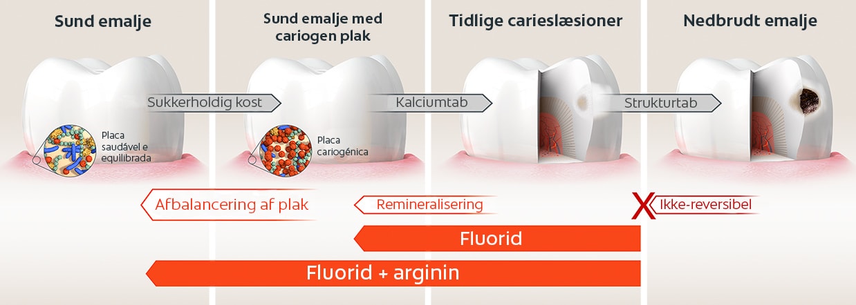 Forebyggelse, håndtering og behandling