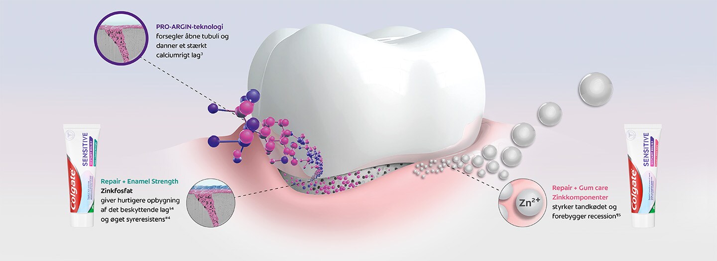 infografik, der viser PRO-ARGIN-teknologiens effekt på tandfølsomhed forsegler åbne tubuli og danner et stærkt calciumrigt lag. Colgate CSPR Repair + Enamel Strength tandpasta, der hjælper med Zinkfosfatgiver hurtigere opbygning af det beskyttende lag og øget syreresistens. Og Colgate CSPR Repair + Gum care tandpasta, der hjælper med Zinkkomponenterstyrker tandkødet og forebygger recession infografik, der viser PRO-ARGIN-teknologiens effekt på tandfølsomhed forsegler åbne tubuli og danner et stærkt calciumrigt lag. Colgate CSPR Repair + Enamel Strength tandpasta, der hjælper med Zinkfosfatgiver hurtigere opbygning af det beskyttende lag og øget syreresistens. Og Colgate CSPR Repair + Gum care tandpasta, der hjælper med Zinkkomponenterstyrker tandkødet og forebygger recession