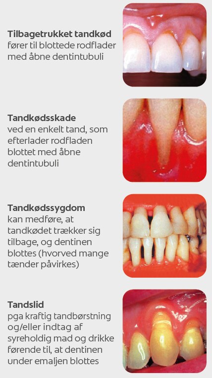 Nyd livet uden isninger