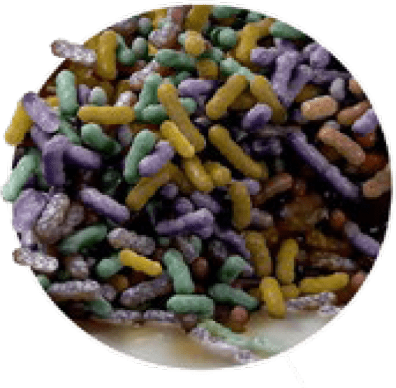 Biofilms