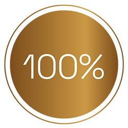one hundred percent icon one hundred percent icon
