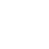 Kontaktikon